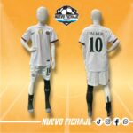 Palmer niño Chelsea 25/26 Visita