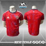 Costa Rica Adulto 2026 Local Fan