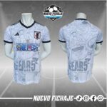 One Piece Adulto Japon Anime Fan