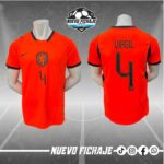 Virgil Van Dijk Adulto Holanda Local Mundial 2026 Fan
