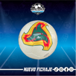 Balon Fevernova Mundial 2002 Alemania